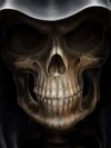 Scull qkbukibo